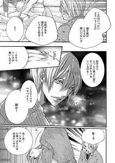 鬼畜兄弟の悶絶調教～私はいいなり奴隷～