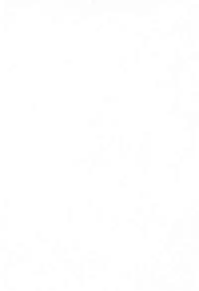 (C70) [Furaipan Daimaou (Chouchin Ankou)] Aniero Mix 002 (Powerpuff Girls Z) [Chinese] [牛肝菌汉化]