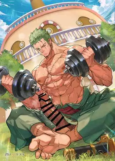 Roronoa Zoro Only Anthology 'Z'