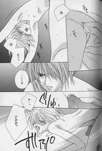 [Sakura Ashika] Himitsu No Kemonotachi