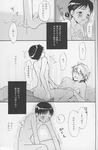 (C77) [RAYTREC (Fuyunagi Reku)] +PLUS (Neon Genesis Evangelion)