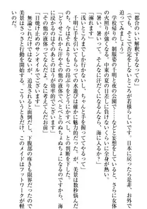 年上メイドの新婚日記