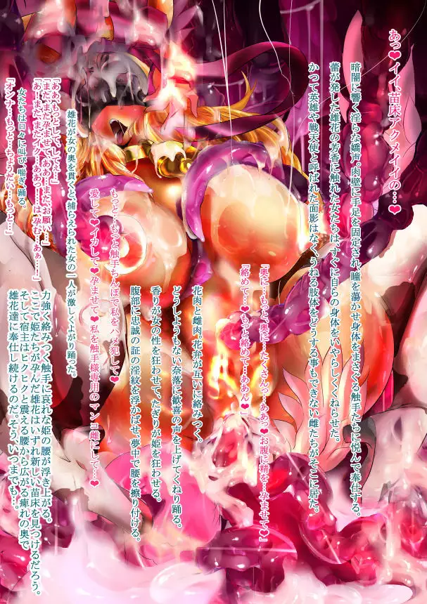 仮面お姉さんは肉感可愛い 1-2