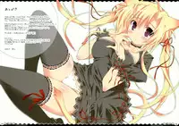 (C74) [Oshaban (Sasahiro)] Nekopankaraira (Original)