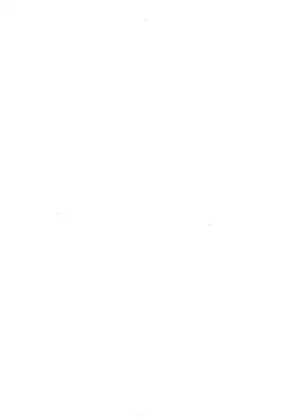 Degarashi Azuki-chan