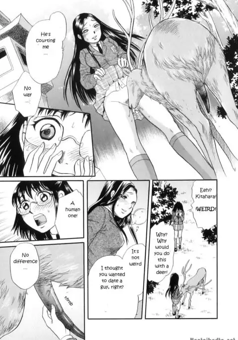 Divine Deer Forest ~Girls' Whereabouts~