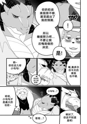 Killer Whale & Niterite 3