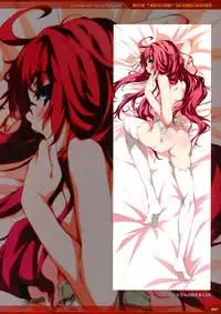 Dies irae Visual Fanbook - Red Book (Resale Version)