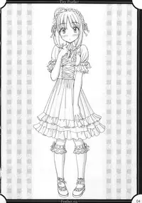 (C73) [Tiny Feather (Sin-Go)] Feather.03 (Fate/hollow ataraxia)