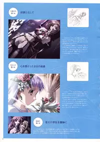 Natural 2 Duo Visual Fan Book