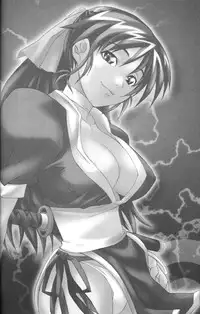 (C62) [MG WORKS (Isou Doubaku)] NINJA MANIA DELUXE (Dead or Alive)