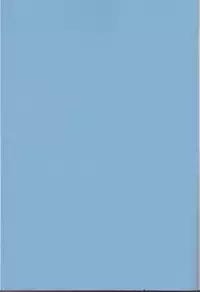 (C91) [NightRide (Harano)] Chi Yori Mo Atsuku (Fire Emblem if)