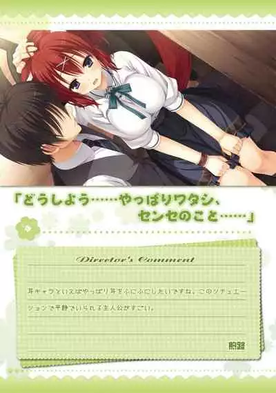 AMAIRO ISLENAUTS OFFICIAL VISUAL FAN BOOK