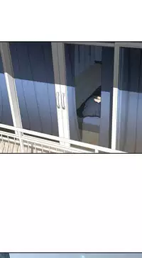 Ghost Love Ch.1-23 (English) (YoManga) (Ongoing)