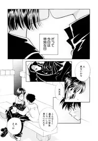 [Nagareboshi Hikaru] Tokubetsu na Hi