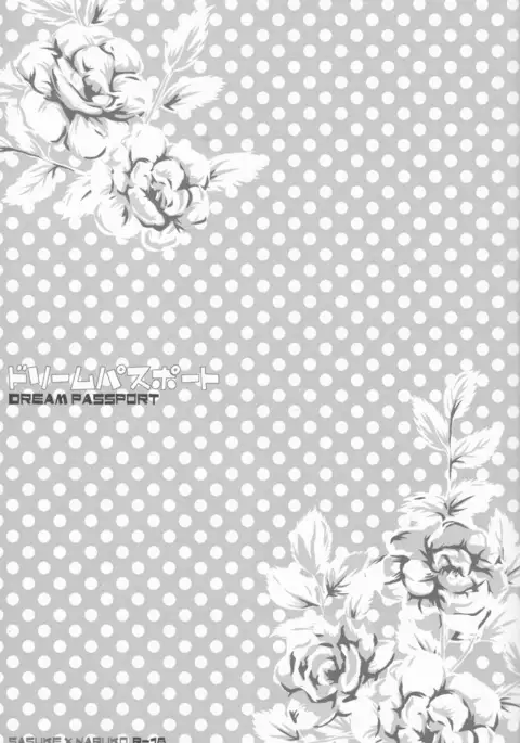 Dream passport )incomplete