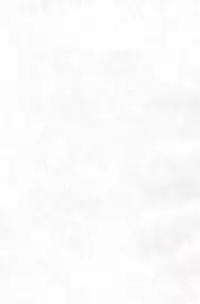 (C59) [Hikagemono (Hikage Tetsuo)] Tamanegibatake 1+2+