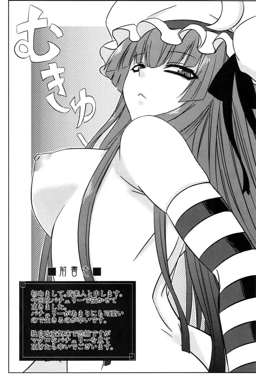 Patchouli to Ashi Bakari no Doujin