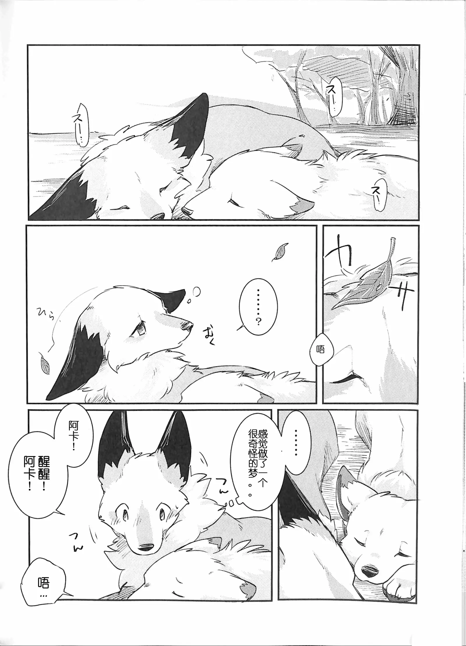 Yume Utsutsu Lovage | 林间小夜曲