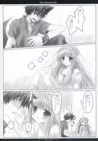 [CHRONOLOG & Umineko] Country of light and garden of flower