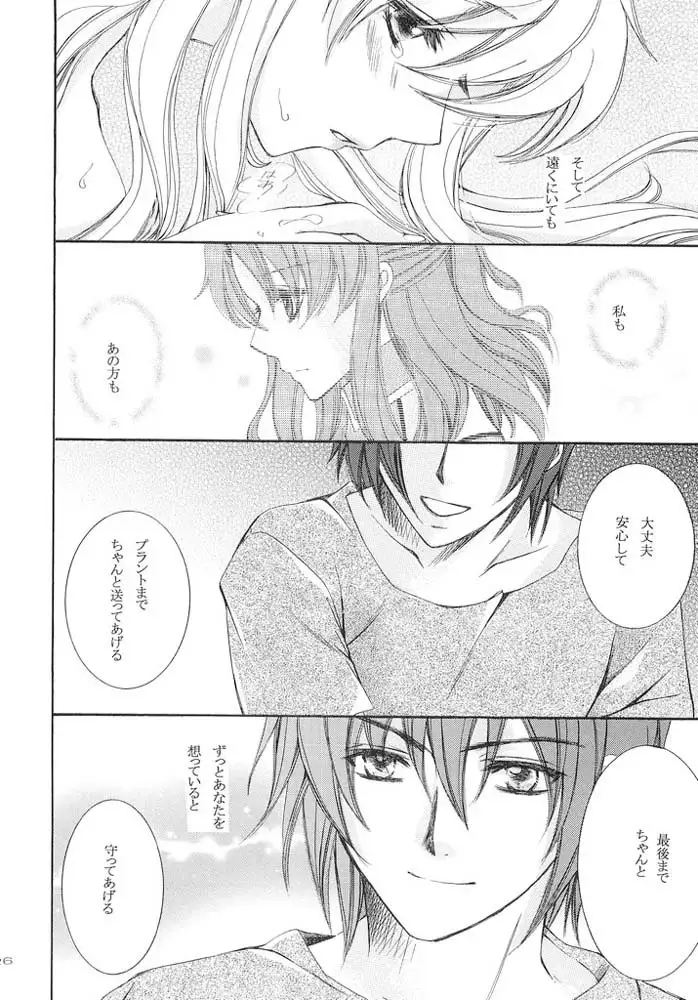 Gundam Seed - When You Wish Upon A Star