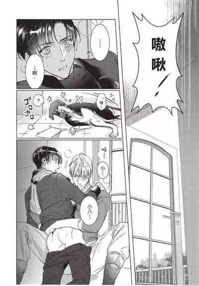 Chihireru Kubiwa | 碎裂的项圈