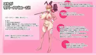 Seigi no Mikata Reverse Bunny