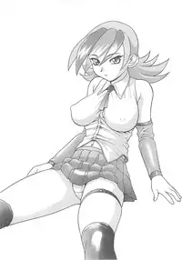 (C62) [Studio Wallaby (Nishitsuki Tsutomu)] Nishitsuki Recycle (Various)