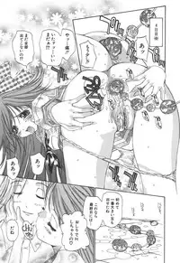 [Kojiki Ohji] Freesia