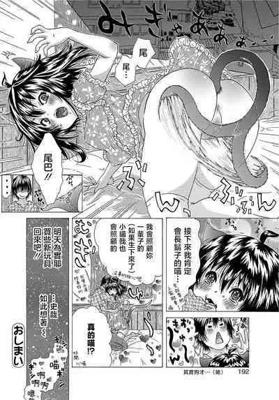 Neko Nyanko na Kanojo