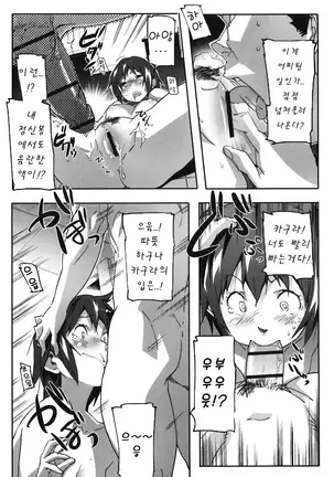 Puru Puru Milk Pudding 프딩프딩 밀크푸딩