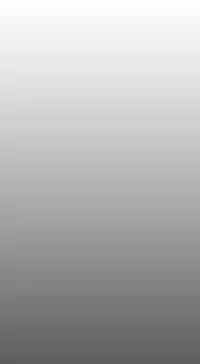 姐妹丼饭 Sister rice Chinese Rsiky