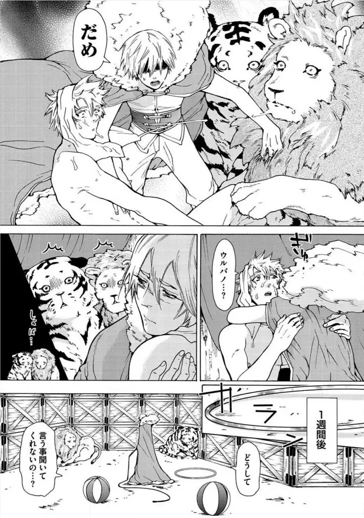 Itoshino Mitsuyoku Circus