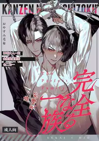 The perfect family 完整的一族