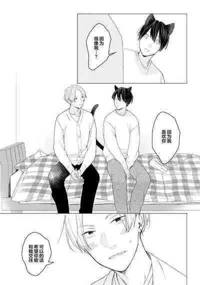 恋爱中的猫咪想被抚摸