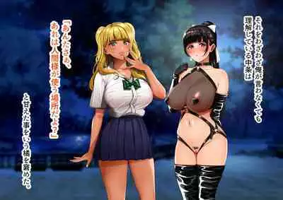 Yagai Roshutsu Haisetsu