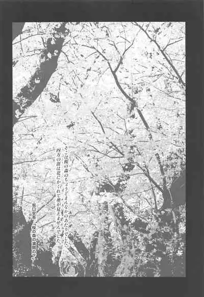 sakuranoshitanihatehanai jo