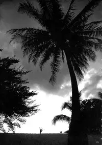 [Combat Ecchu] Chakushou! Haramase Island