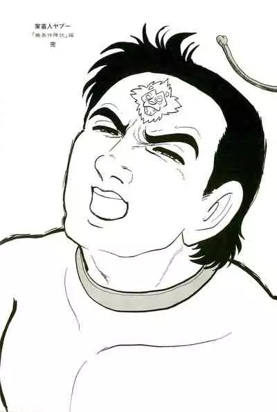 Gekiga Yapoo Koufuku