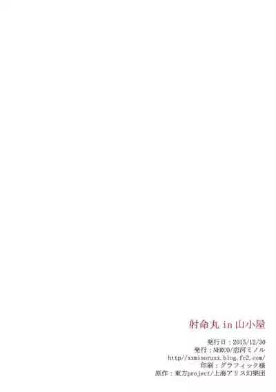 Shameimaru in Yamagoya