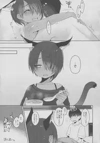 (C90) [Himitsukessya Usagi (Dancyo)] CUSTOMLOVECATs 3rd