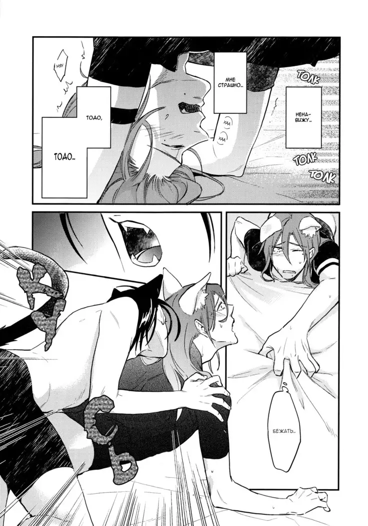 Green, black cat and rut