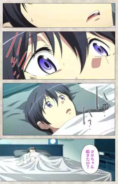 Ane Yome Quartet Kanzenban