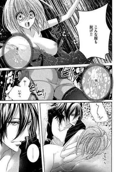 鬼畜兄弟の悶絶調教～私はいいなり奴隷～