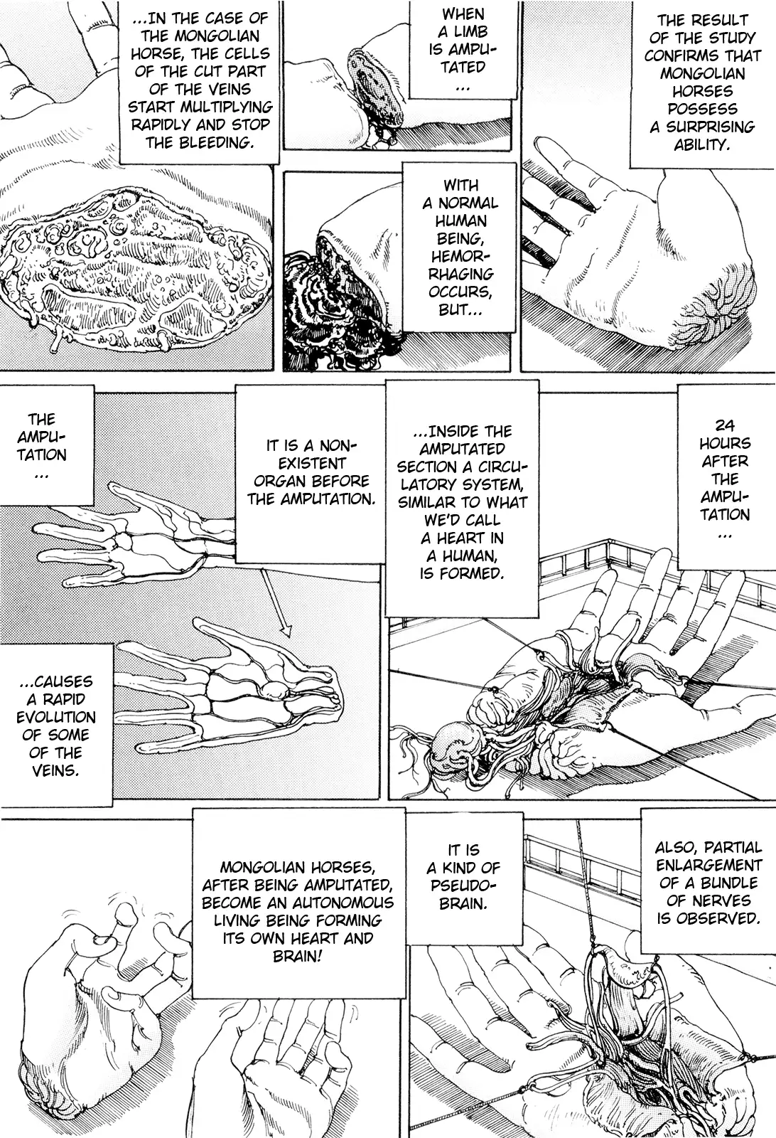 Super Powered Mongolia Invasion