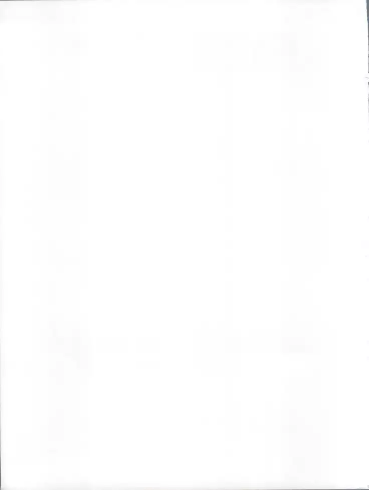 Sunao na Onee-sama wa Suki desu ka?