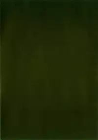 [Wang-Pac] Akuma Koakuma