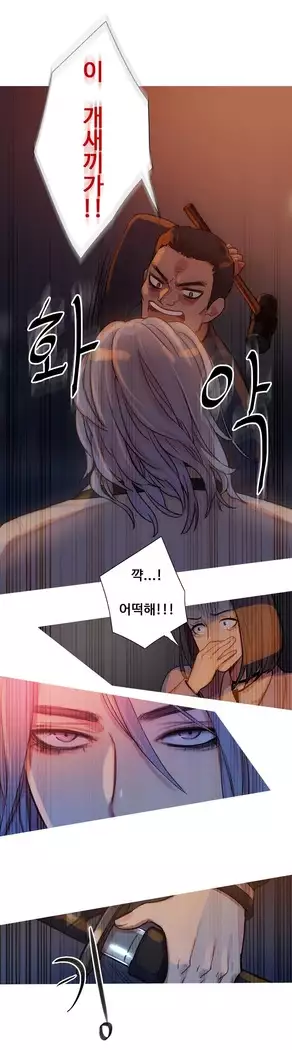 Scandal of the Witch Ch.0-29