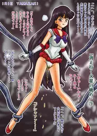 [RAT TAIL (IRIE YAMAZAKI)] IRIE YAMAZAKI "Sailor Moon" Anal & Scatolo Sakuhinshuu Ver. 1 (Bishoujo Senshi Sailor Moon) [Digital]