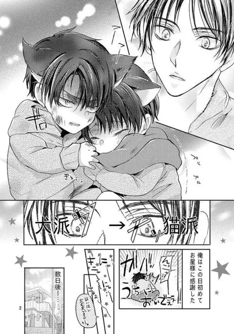 Futago neko hiroimashita